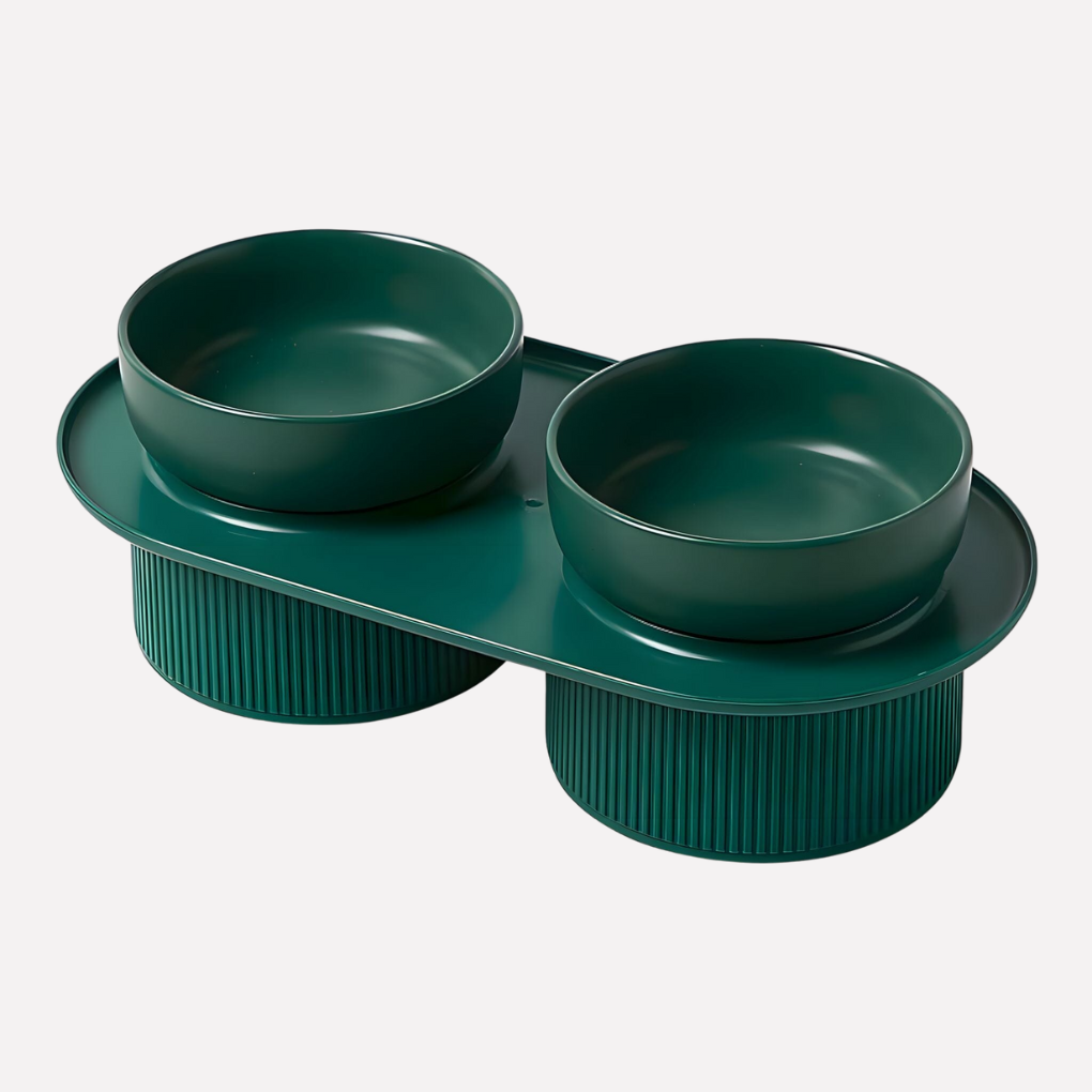 Ceramic Elevated Pet Feeding Bowl