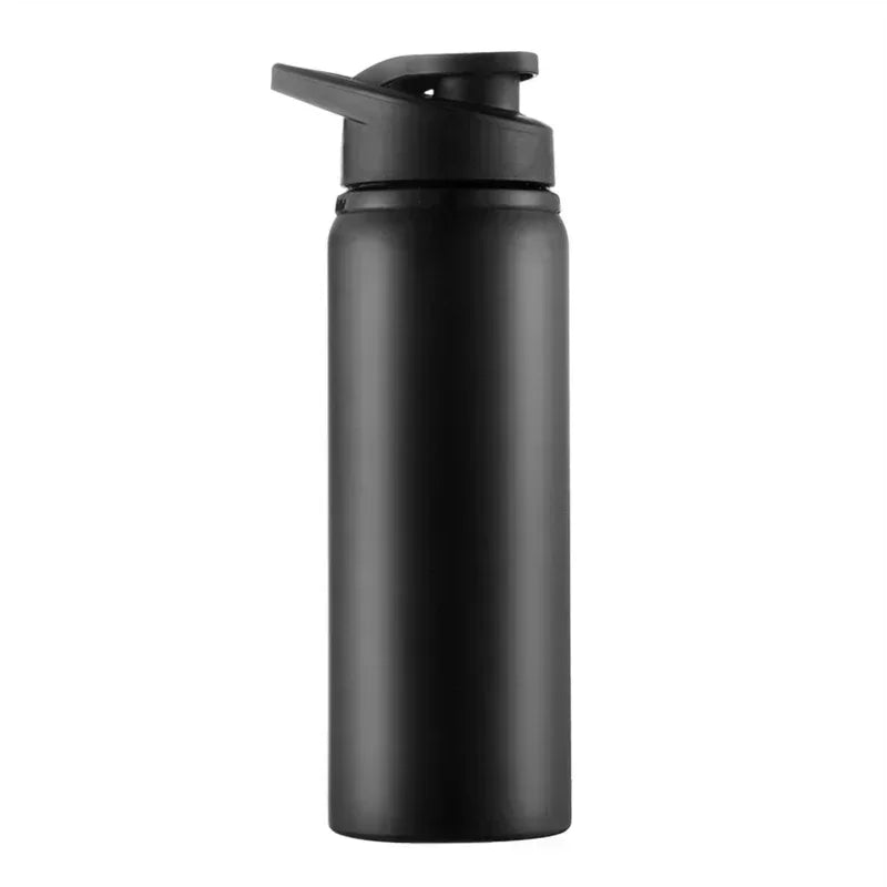 Insulated Stainless Steel Thermos Bottle