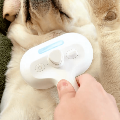 Steam Dog Brush