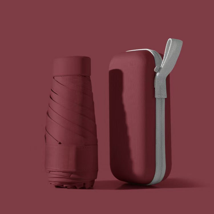 Compact Travel Umbrella With Case