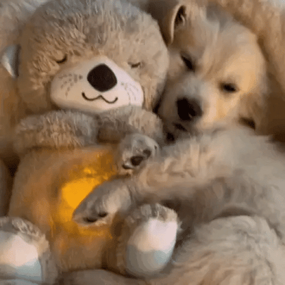 Calming Plush Toy