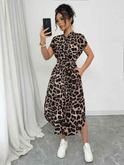 Animal Print V Neck Maxi Dress