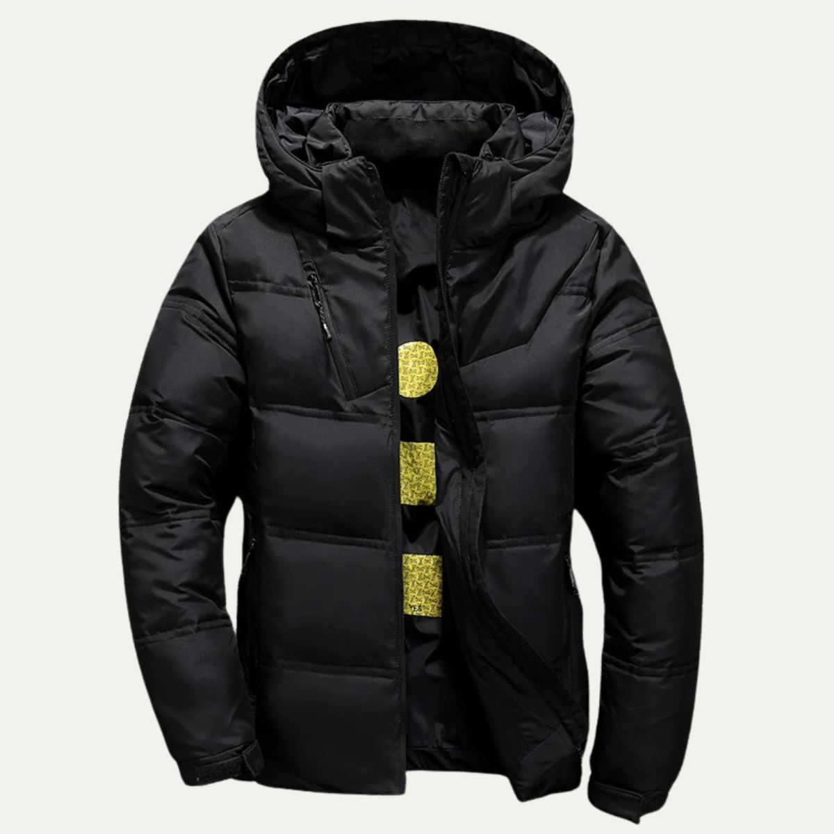 Wrenford Men's Down Puffer Hooded Winter Jacket - VibreMode