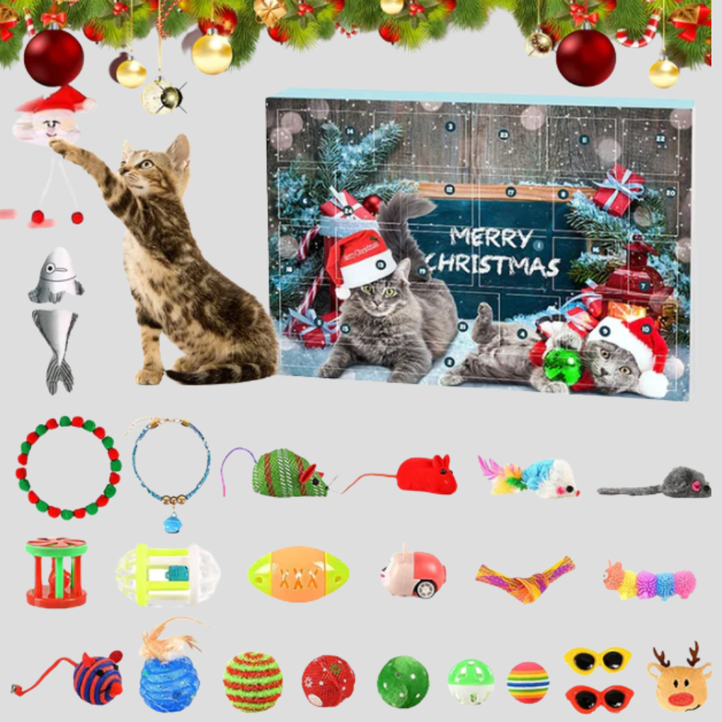 Cat Interactive Toy Advent Calendar 24 Days - VibreMode