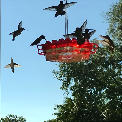 Hummingbird Feeder Ant Proof