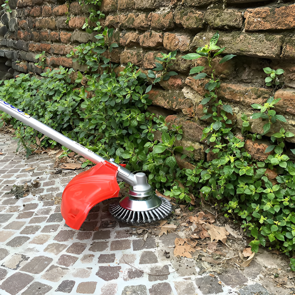 Carbon Steel Weed Brush