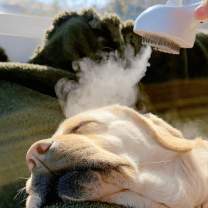 Steam Dog Brush