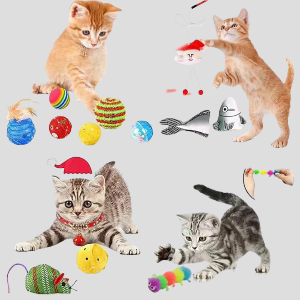 Cat Interactive Toy Countdown Calendar 24 Days