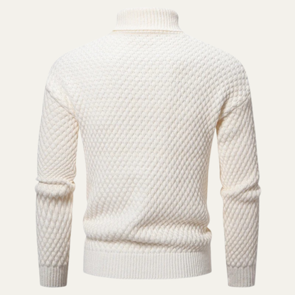 Men's Textured Knitted Turtleneck Sweater