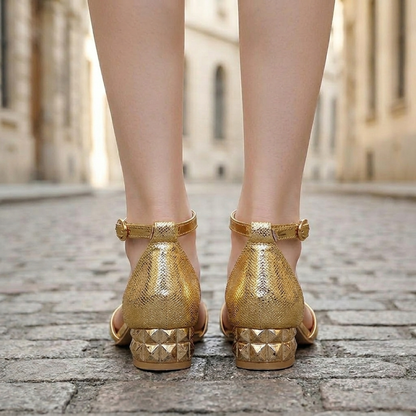 Women’s Ankle Strap Sandals Low Block Heel Open Toe Shoes