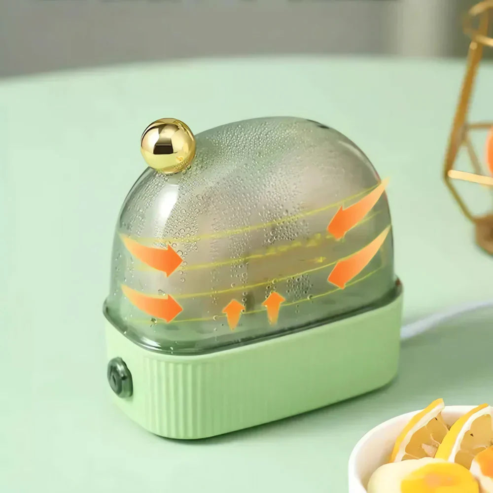 Electric Egg Cooker Stainless Steel Compact