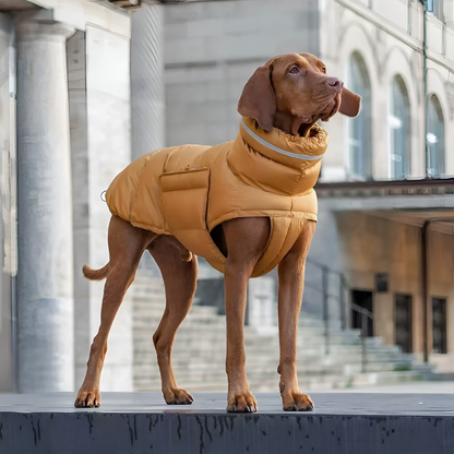 Insulated Dog Vest Warm Winter Coat