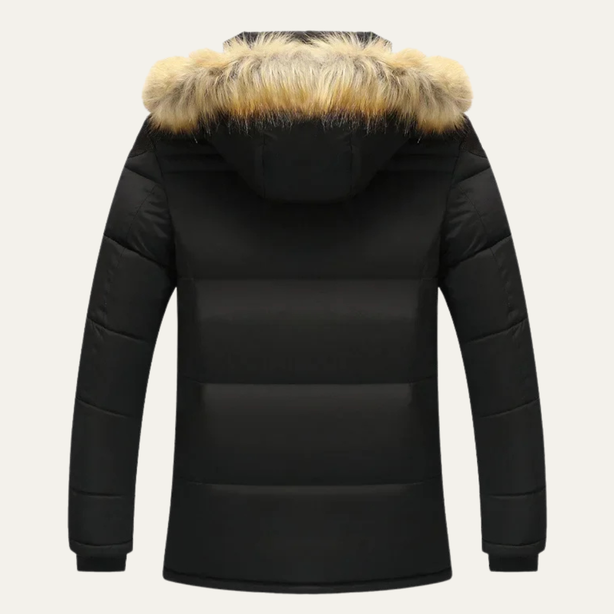 Men's Hooded Parka Jacket Fur Collar