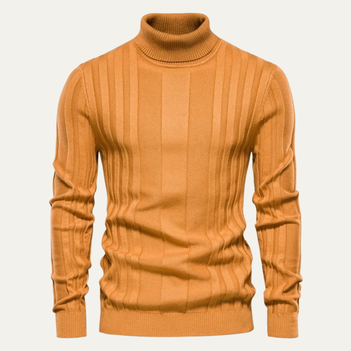 Men's Slim Fit Knit Turtleneck Sweater