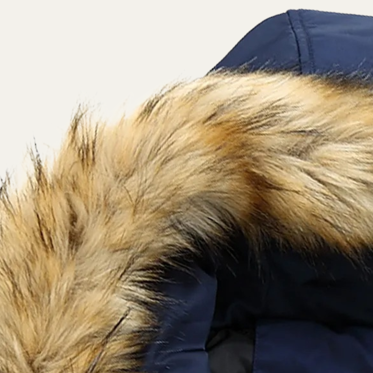 Men's Thick Winter Parka Jacket Fur Collar