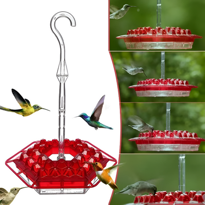 Hummingbird Feeder Ant Proof