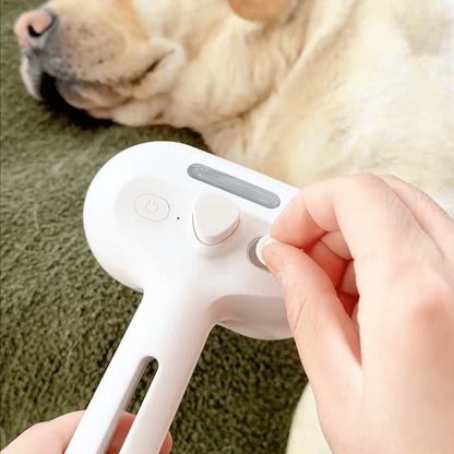 Steam Dog Brush - VibreMode