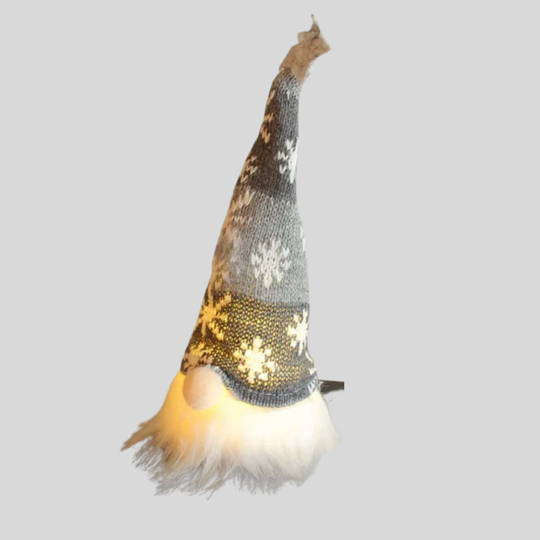 Garden Gnome LED Ornament - VibreMode