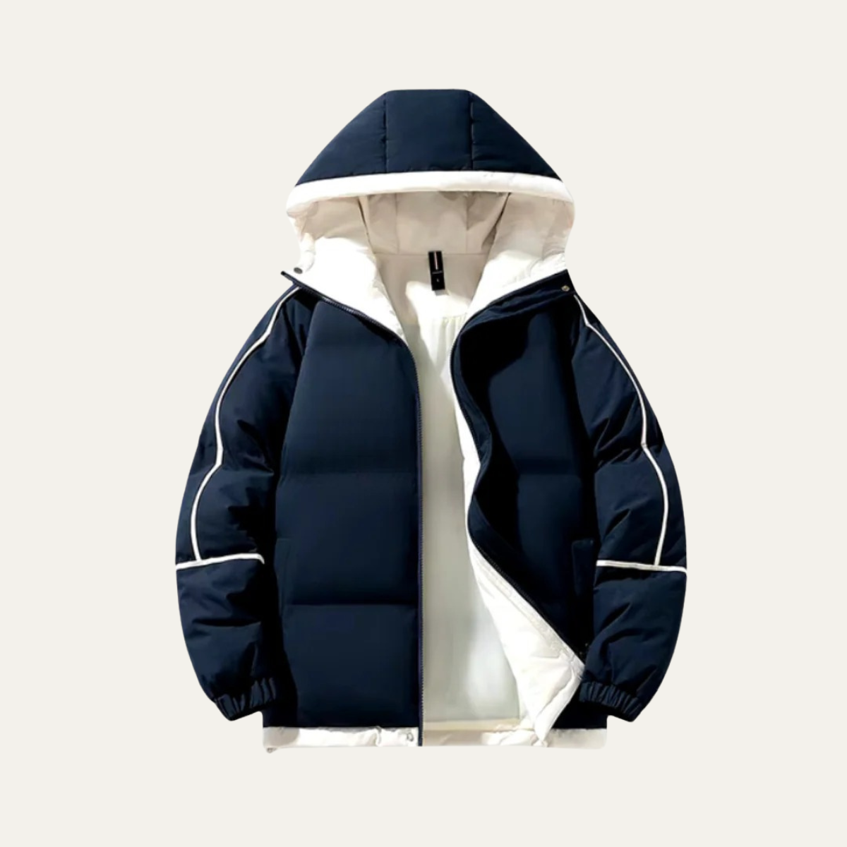 Men's Waterproof Puffer Jacket Hooded Winter Coat