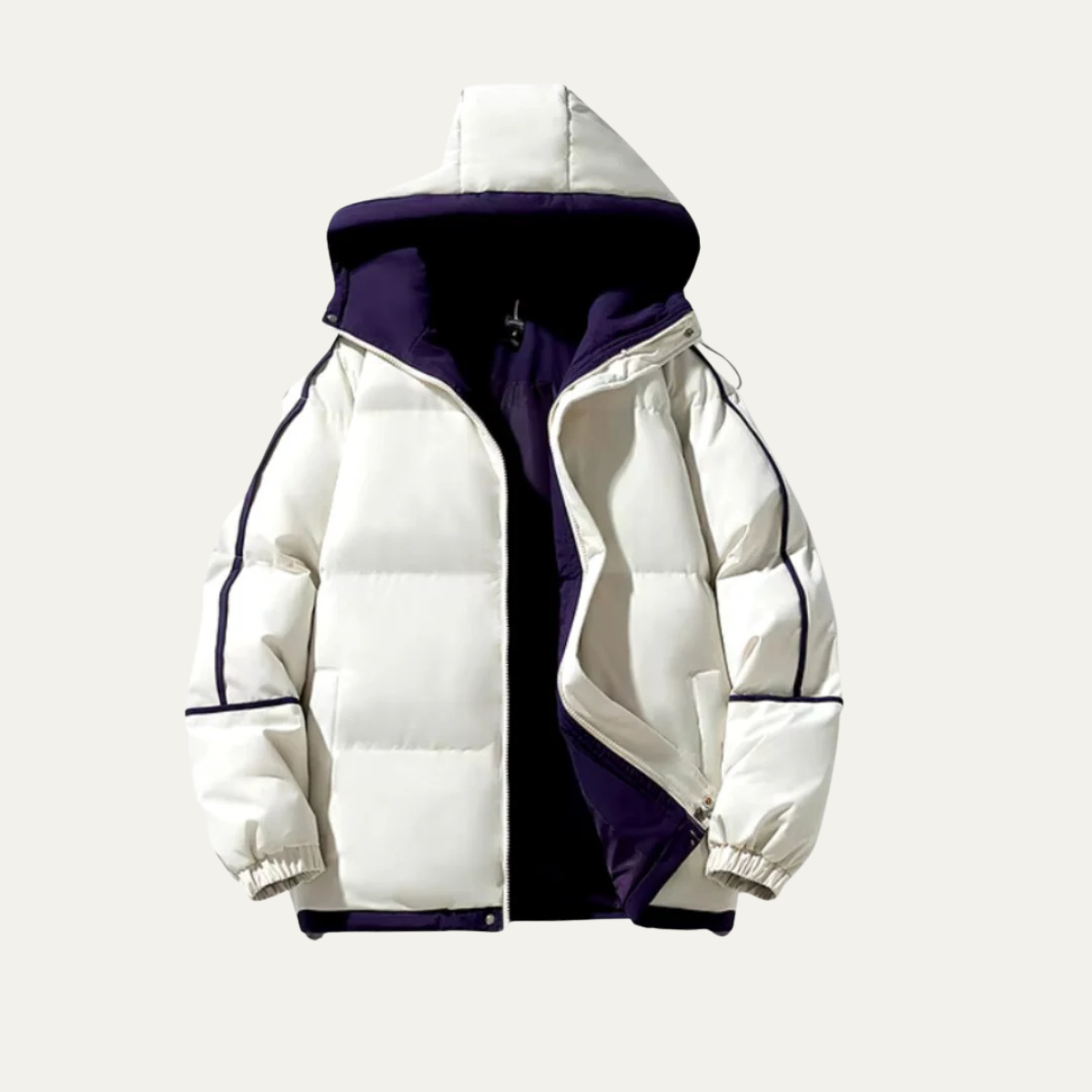 Men's Waterproof Puffer Jacket Hooded Winter Coat