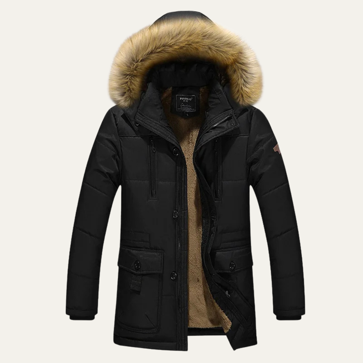 Men's Cotton Padded Winter Coat Fur Hood