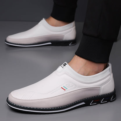 Men's Calfskin Leather Shoes