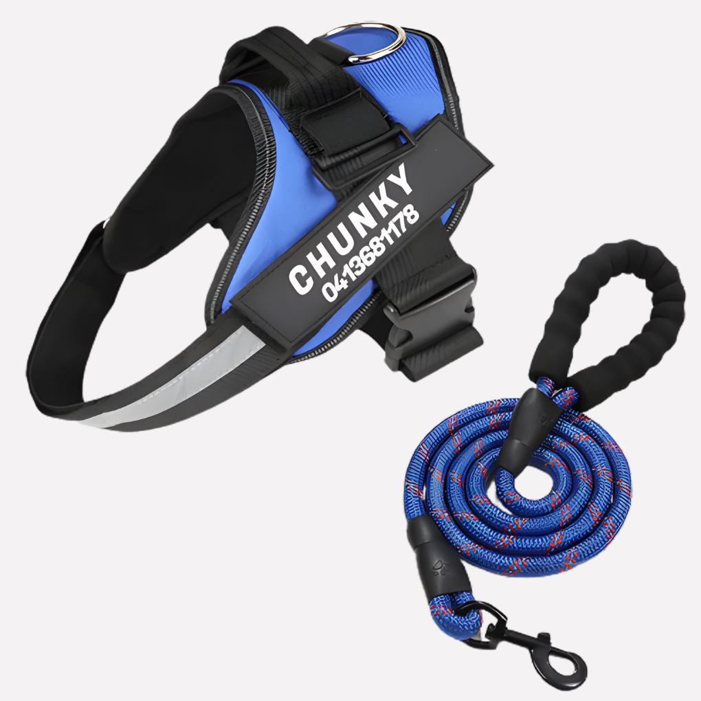 Customizable Anti Pull Dog Harness - VibreMode