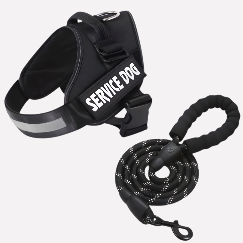 Customizable Anti Pull Dog Harness