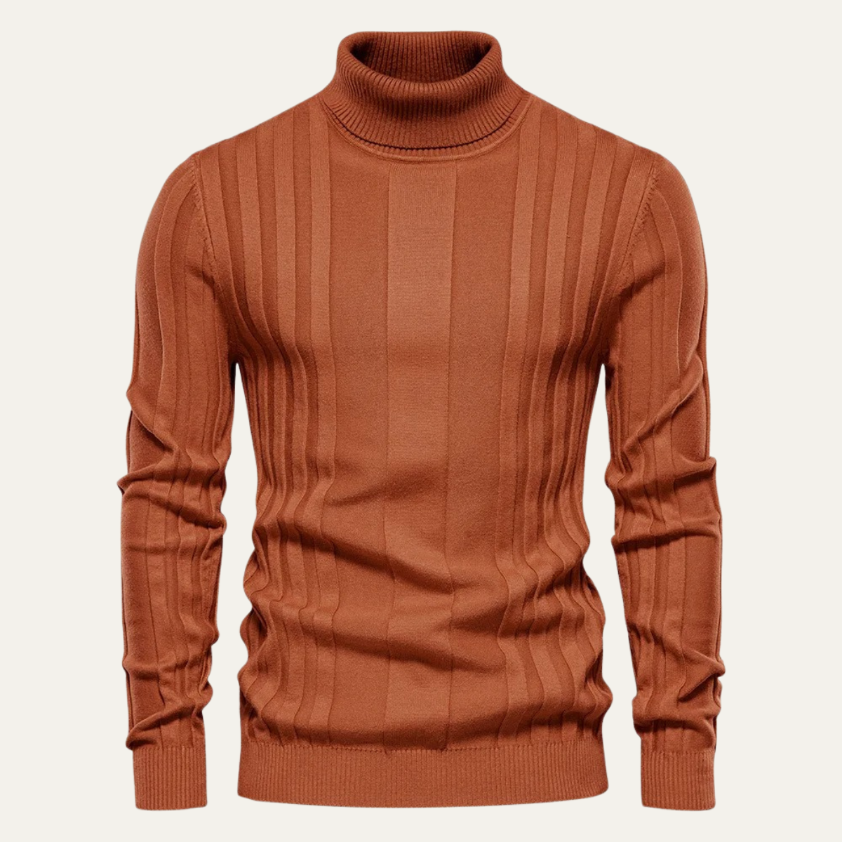 Men's Slim Fit Knit Turtleneck Sweater