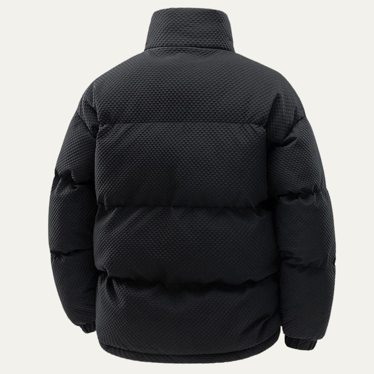 Alderfall Men's Puffer Jacket Winter Warm Contrast Color