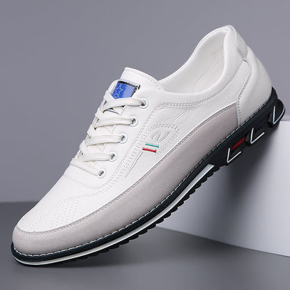 Men's Calfskin Leather Shoes