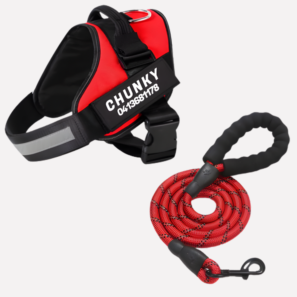 Customizable Anti Pull Dog Harness