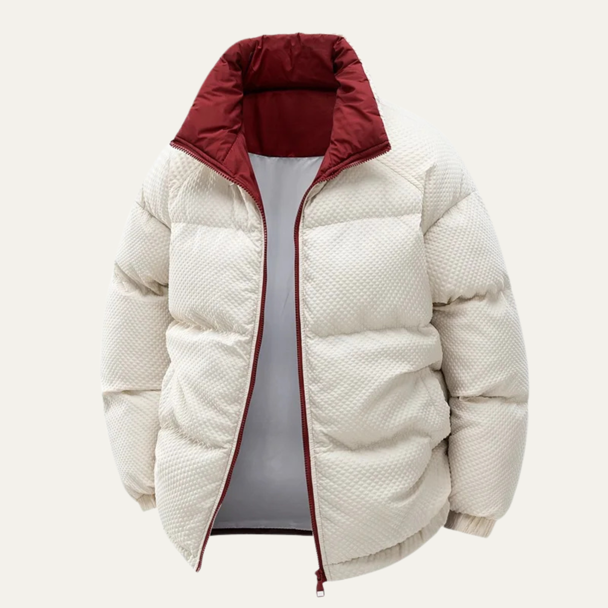 Alderfall Men's Puffer Jacket Winter Warm Contrast Color