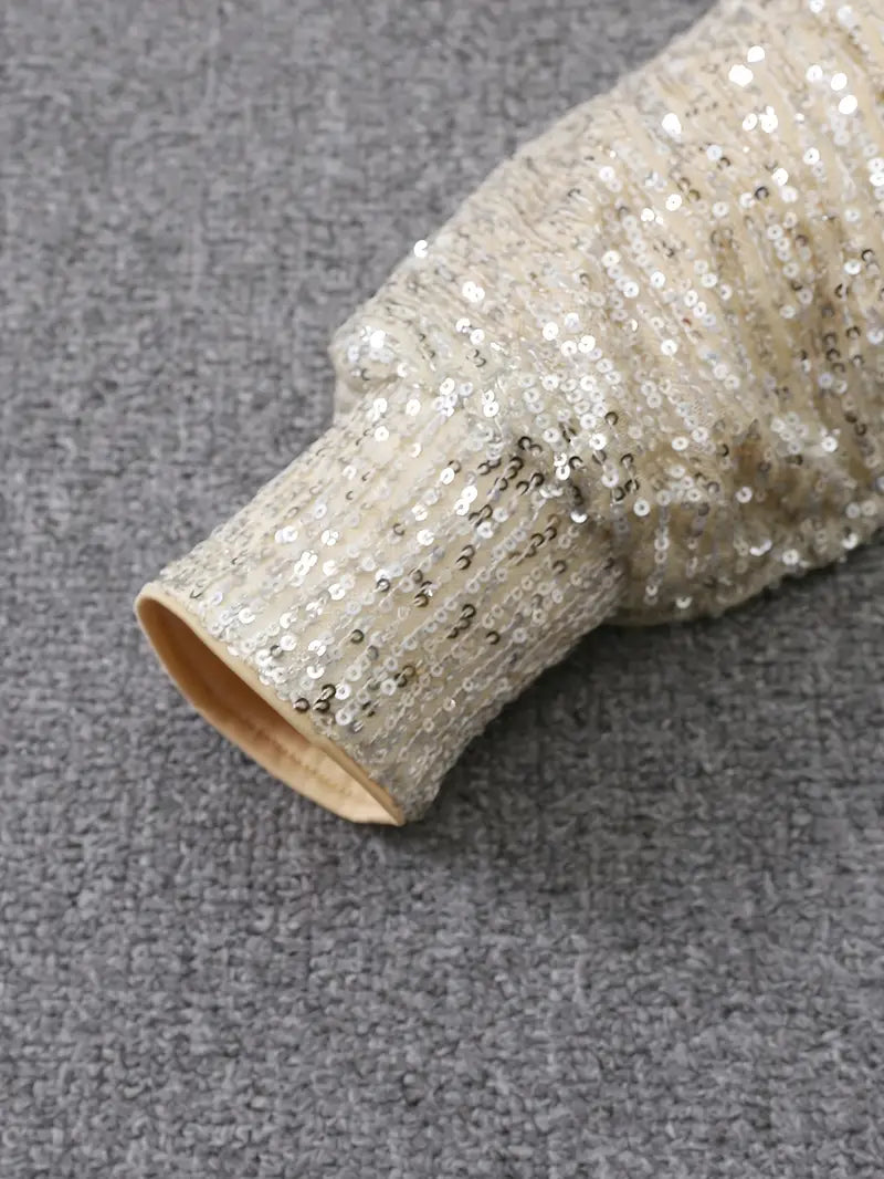 Glittery Evening Party Dress