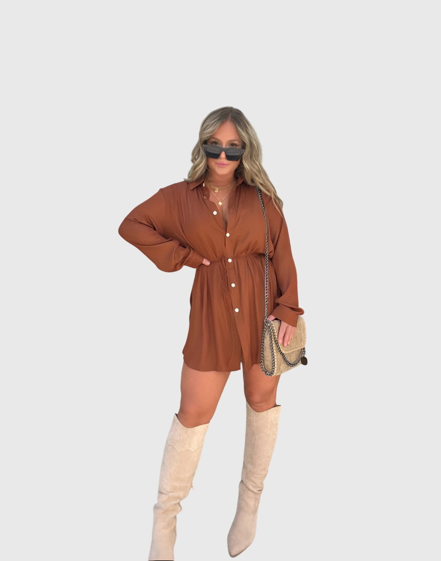 Ladies Classic Front Button Dress Shirt