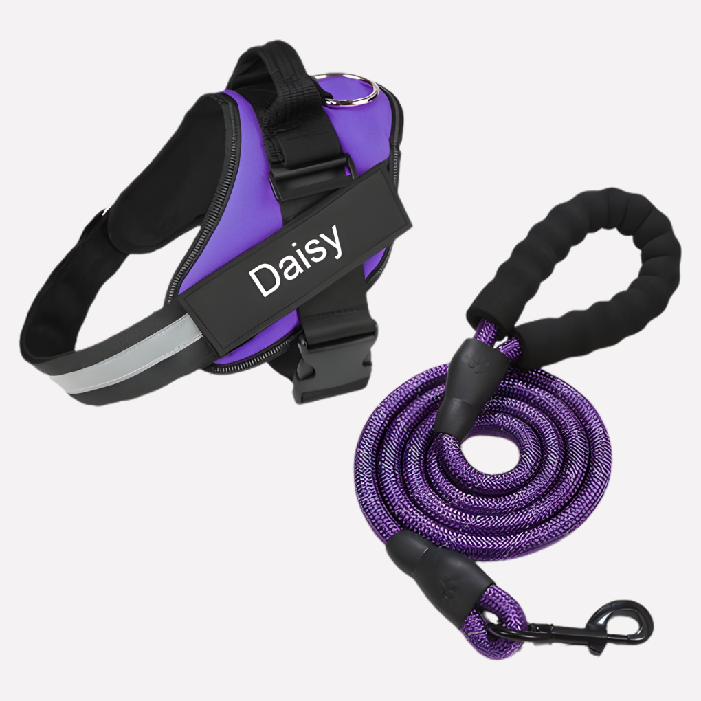 Customizable Anti Pull Dog Harness