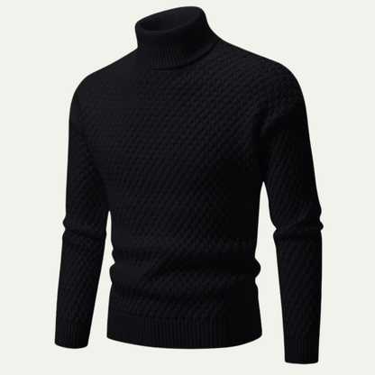 Men's Textured Knitted Turtleneck Sweater