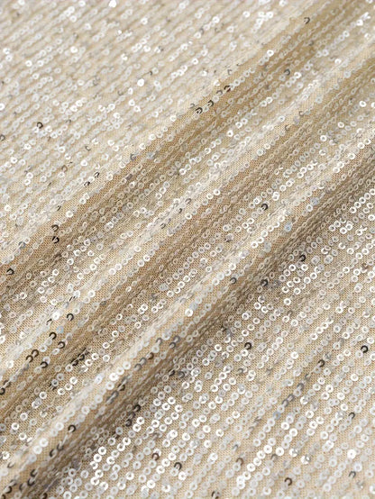 Glittery Evening Party Dress