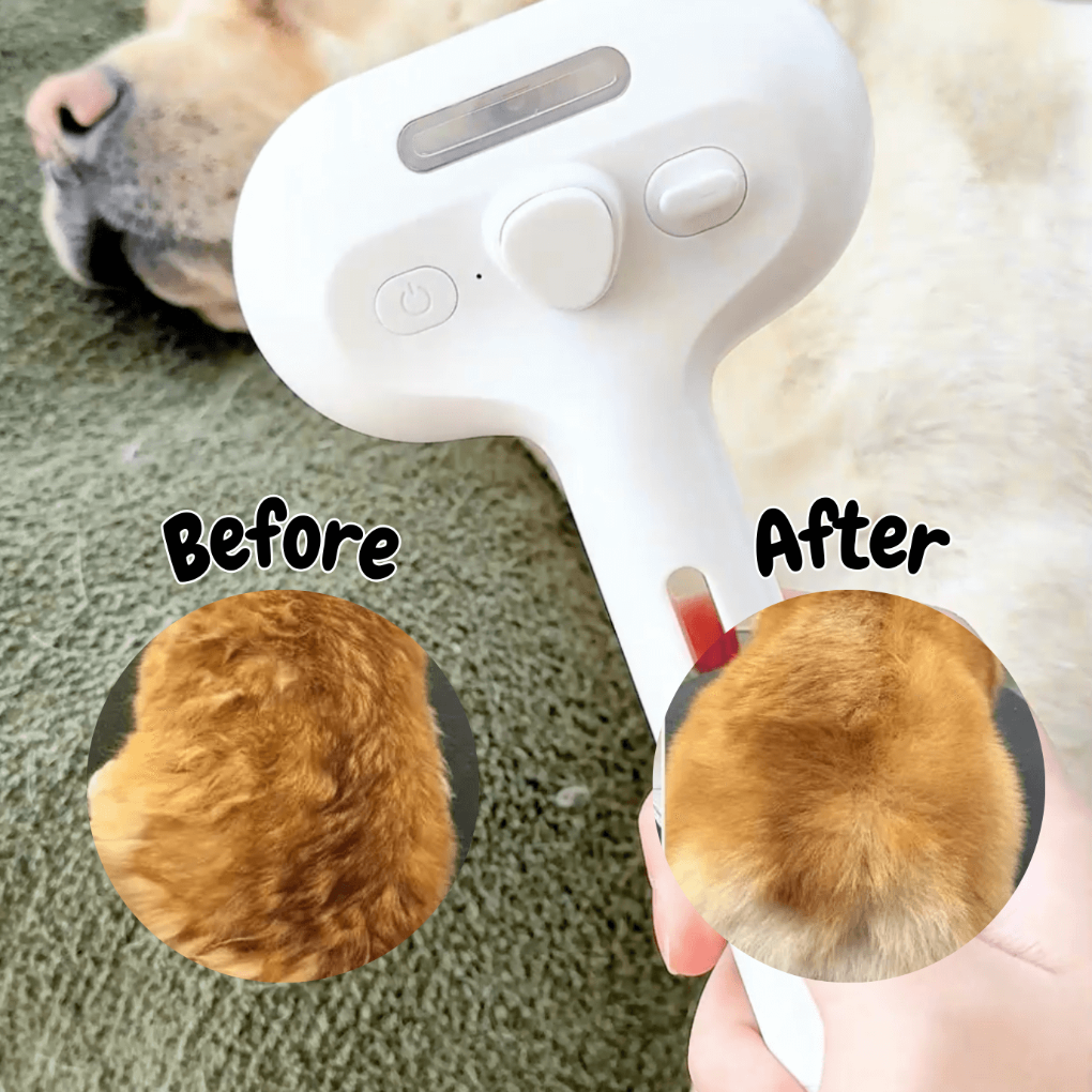 Steam Dog Brush