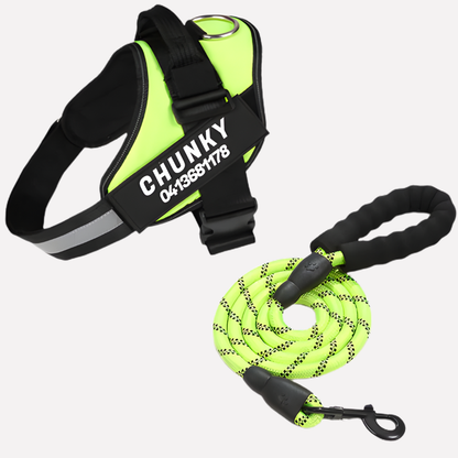 Customizable Anti Pull Dog Harness