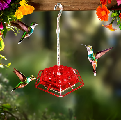 Hummingbird Feeder Ant Proof