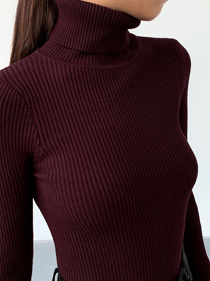 Classic Fit Women's Simple Turtleneck Top