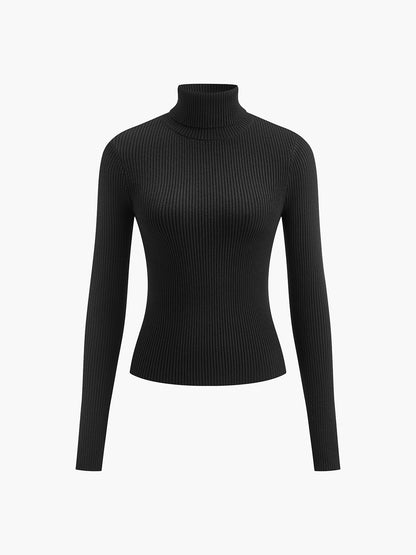 Classic Fit Women's Simple Turtleneck Top