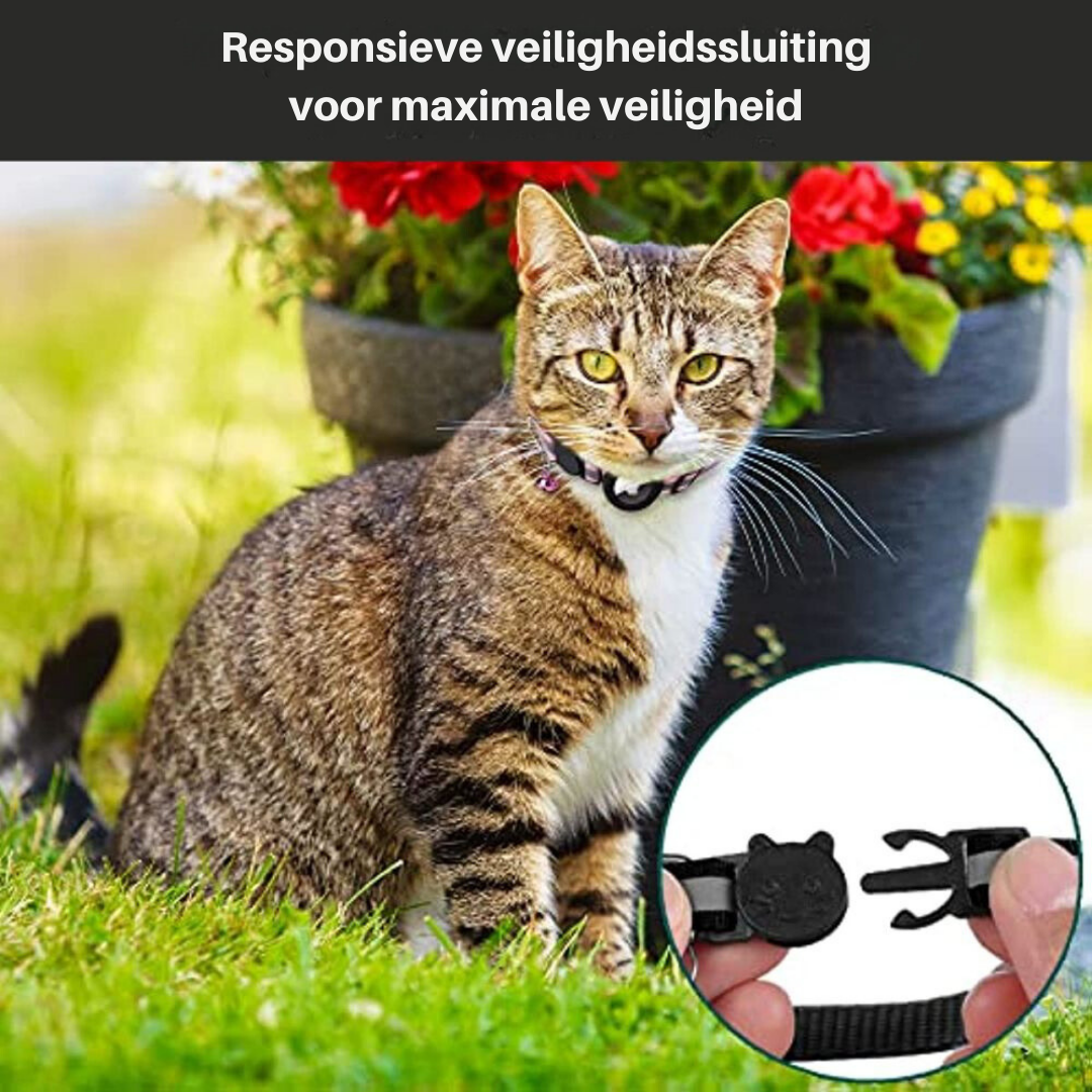 Cat Gps Tracking Collar Reflective Quick-Release
