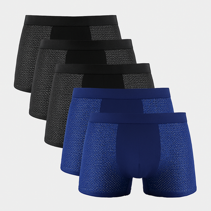Men's Mesh Boxer Shorts 5 Pack