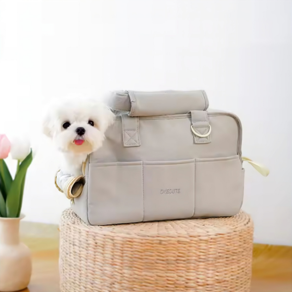Pet Carrier Travel Bag