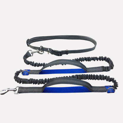 Hands Dog Running Leash - VibreMode