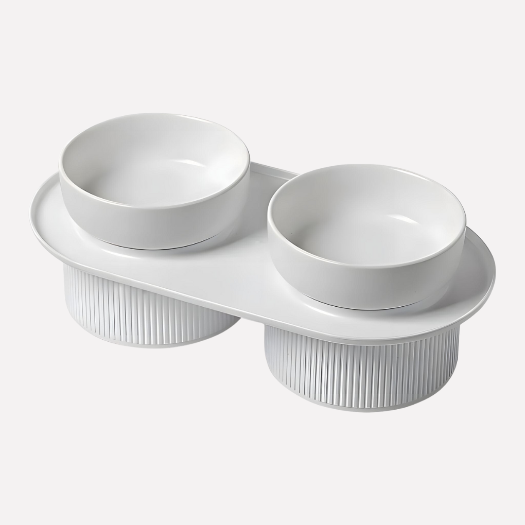 Ceramic Elevated Pet Feeding Bowl