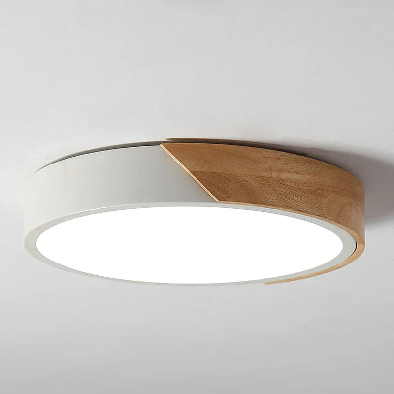 Flush Mount Light Fixture Modern Ceiling Lamp