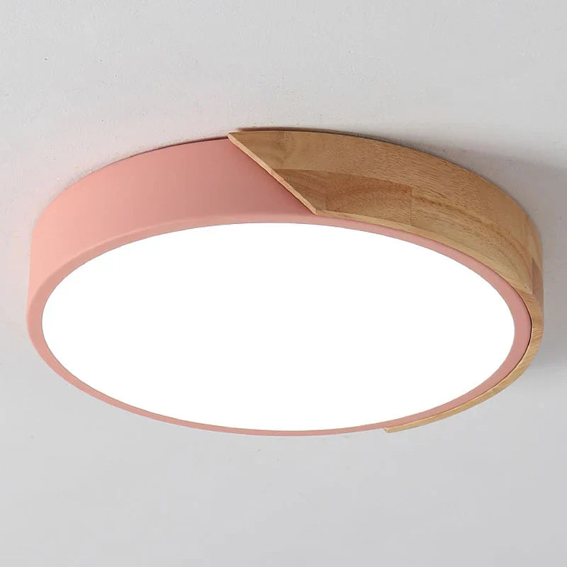 Flush Mount Light Fixture Modern Ceiling Lamp